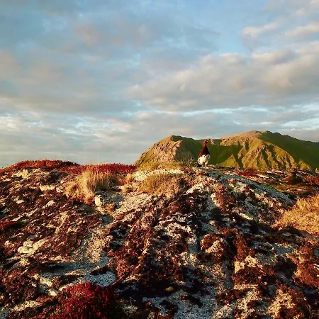 Prázdninový dům Geitelva Holiday Lofoten *