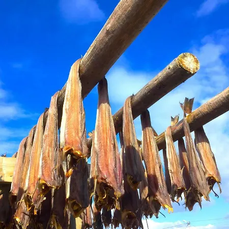 Prázdninový dům Geitelva Holiday Lofoten *